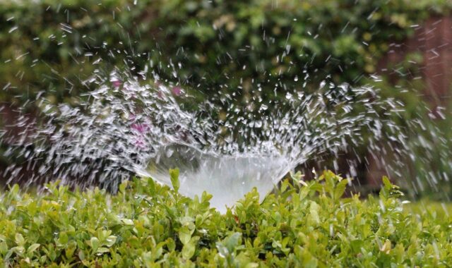 irrigation, splash, water, sprinkler, to water, summer, greening, nature, wet
