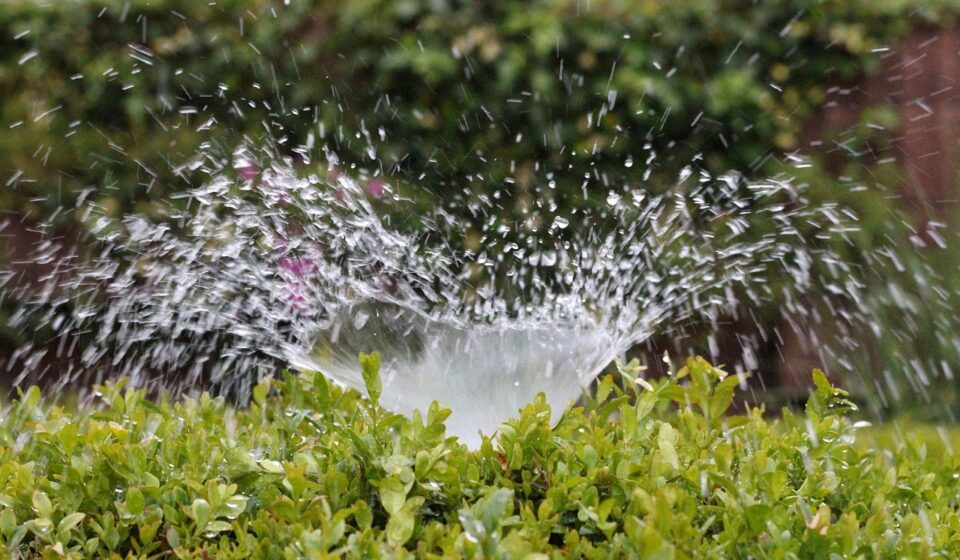 irrigation, splash, water, sprinkler, to water, summer, greening, nature, wet